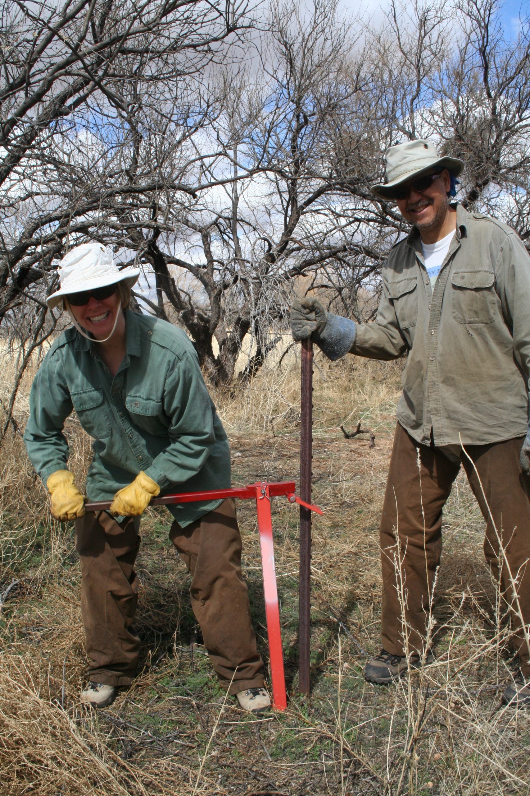 Taking Out T-Posts