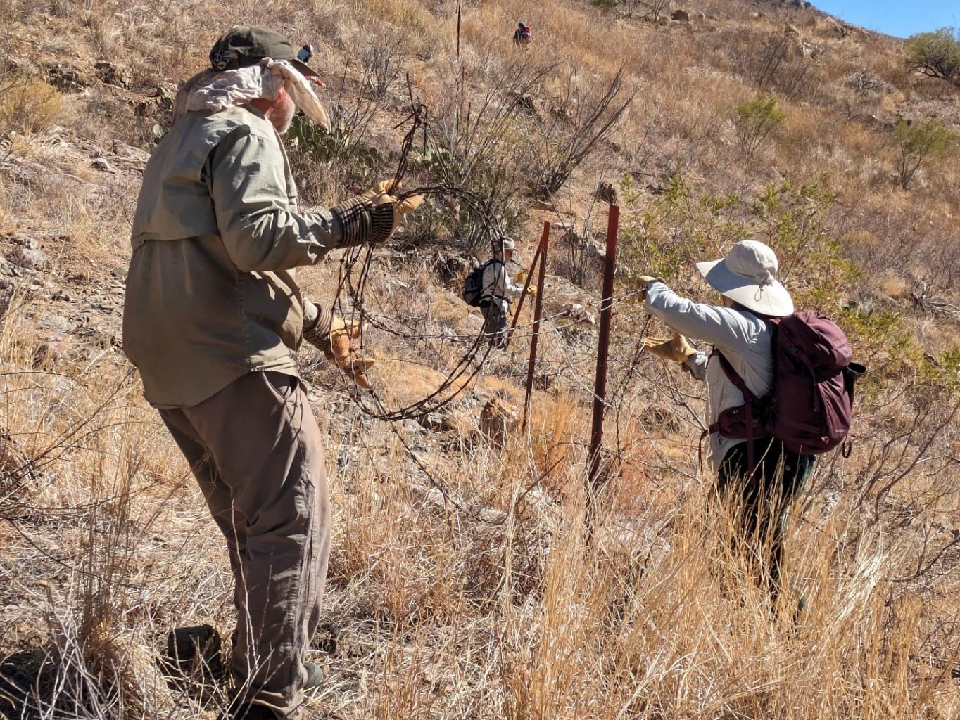 Fence removal on the rugged slopes of Brown Canyon